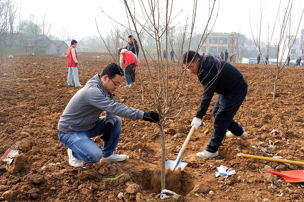 ��ͤ�򣺲������������� ��Ⱥͬ�Ļ��¾�